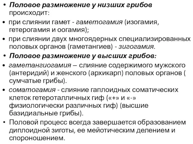 Половое размножение у низших грибов происходит: • при слиянии гамет