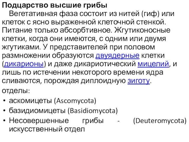 Подцарство высшие грибы Вегетативная фаза состоит из нитей (гиф) или