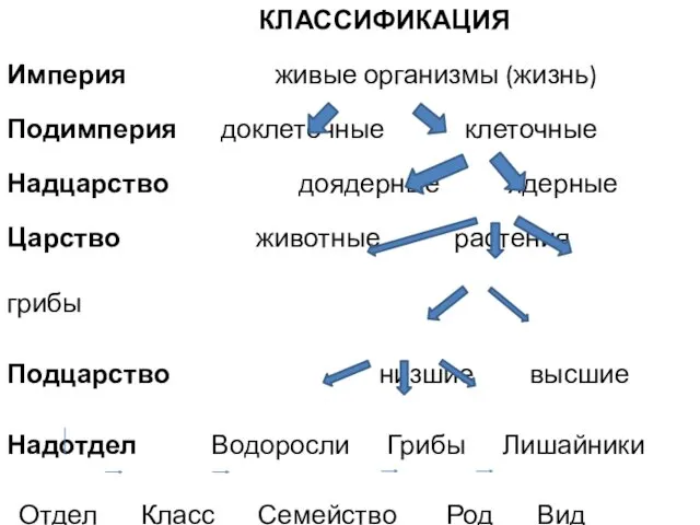 КЛАССИФИКАЦИЯ Империя живые организмы (жизнь) Подимперия доклеточные клеточные Надцарство доядерные