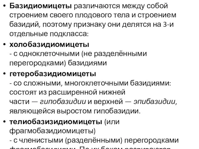 Базидиомицеты различаются между собой строением своего плодового тела и строением