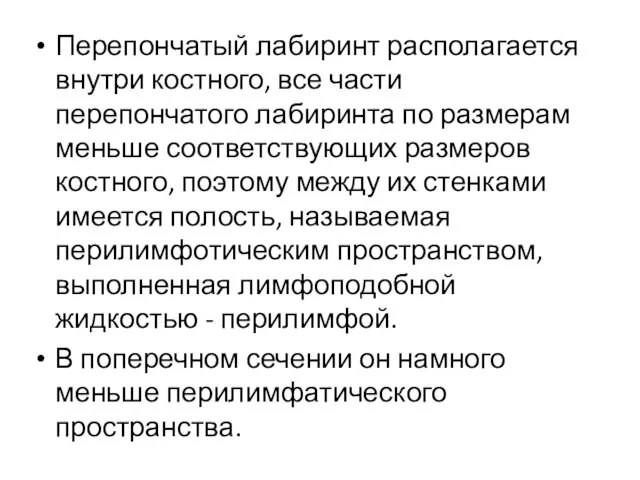 Перепончатый лабиринт располагается внутри костного, все части перепончатого лабиринта по