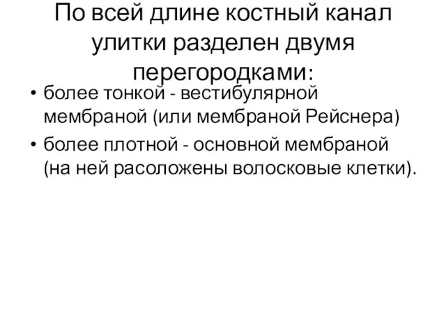 По всей длине костный канал улитки разделен двумя перегородками: более