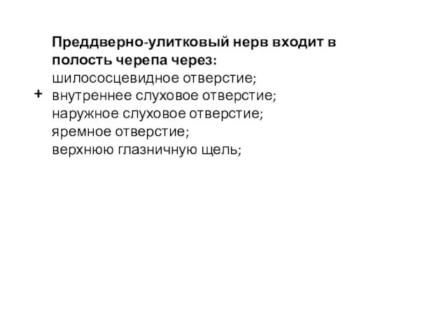 Преддверно-улитковый нерв входит в полость черепа через: шилососцевидное отверстие; внутреннее