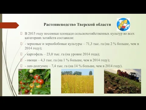 Растениеводство Тверской области В 2015 году посевные площади сельскохозяйственных культур