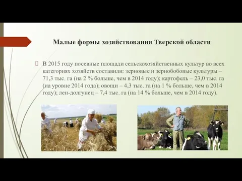 Малые формы хозяйствования Тверской области В 2015 году посевные площади