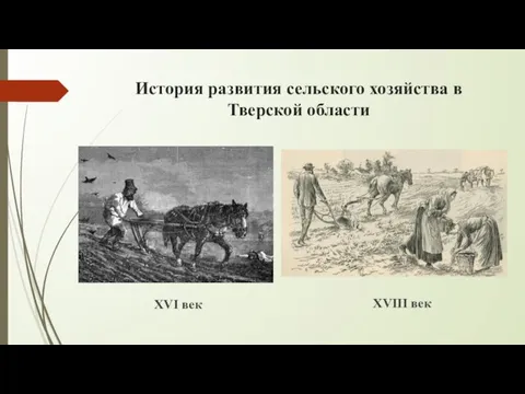 История развития сельского хозяйства в Тверской области XVI век XVIII век