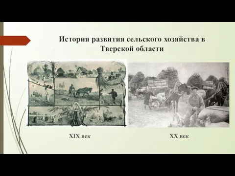 История развития сельского хозяйства в Тверской области XIX век XX век