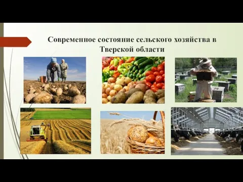 Современное состояние сельского хозяйства в Тверской области