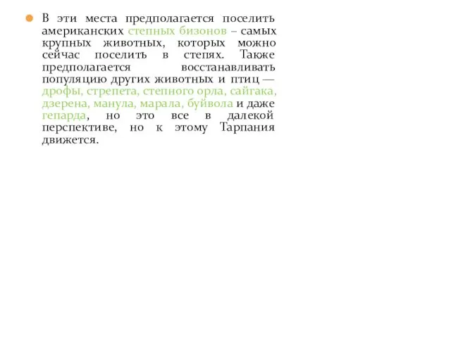 В эти места предполагается поселить американских степных бизонов – самых