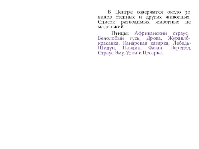 В Центре содержатся около 30 видов степных и других животных.