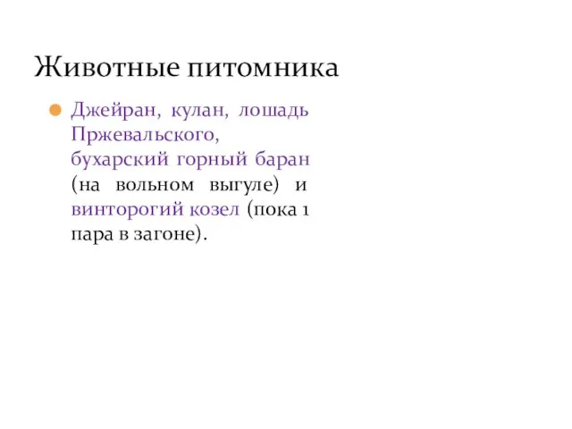 Животные питомника Джейран, кулан, лошадь Пржевальского, бухарский горный баран (на