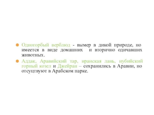 Одногорбый верблюд - вымер в дикой природе, но имеется в