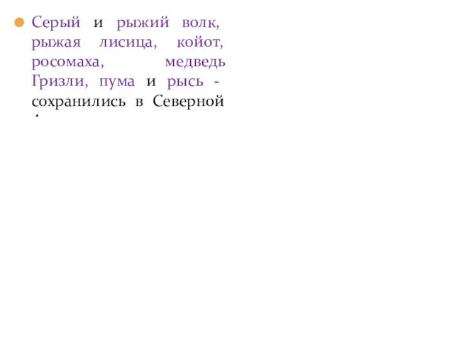 Серый и рыжий волк, рыжая лисица, койот, росомаха, медведь Гризли,