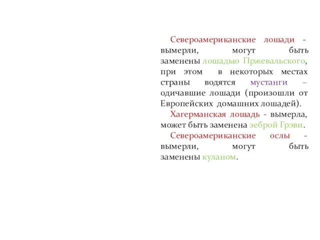 Североамериканские лошади - вымерли, могут быть заменены лошадью Пржевальского, при