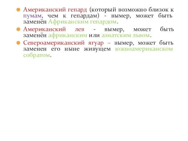 Американский гепард (который возможно близок к пумам, чем к гепардам)