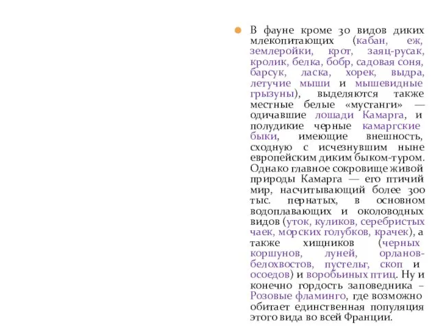 В фауне кроме 30 видов диких млекопитающих (кабан, еж, землеройки,