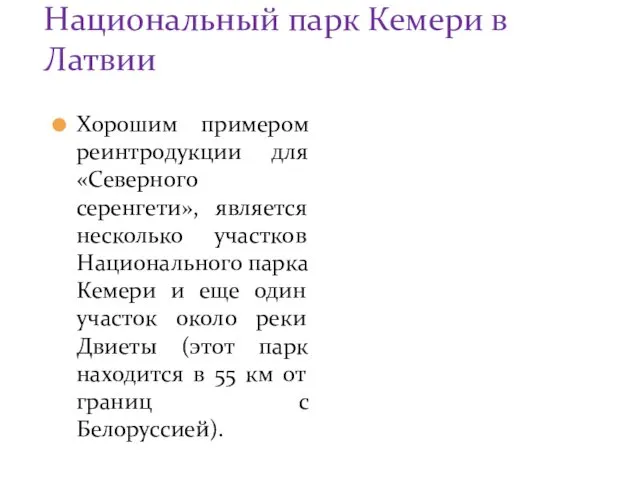 Национальный парк Кемери в Латвии Хорошим примером реинтродукции для «Северного