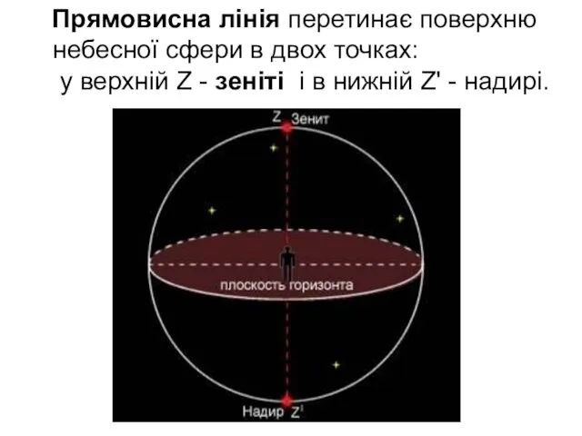 Прямовисна лінія перетинає поверхню небесної сфери в двох точках: у