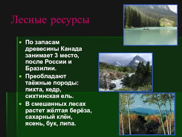 Лесные ресурсы По запасам древесины Канада занимает 3 место, после