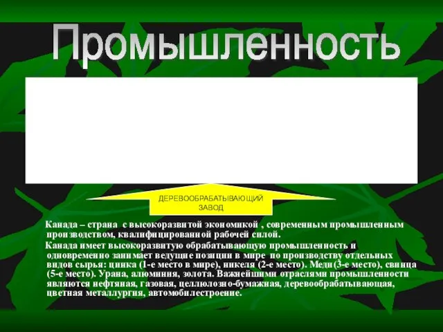 Канада – страна с высокоразвитой экономикой , современным промышленным производством,