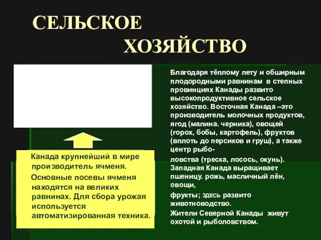 СЕЛЬСКОЕ ХОЗЯЙСТВО Канада крупнейший в мире производитель ячменя. Основные посевы