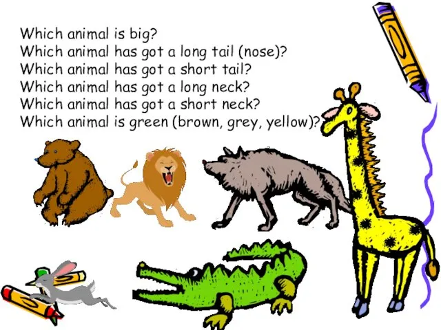 Which animal is big? Which animal has got a long