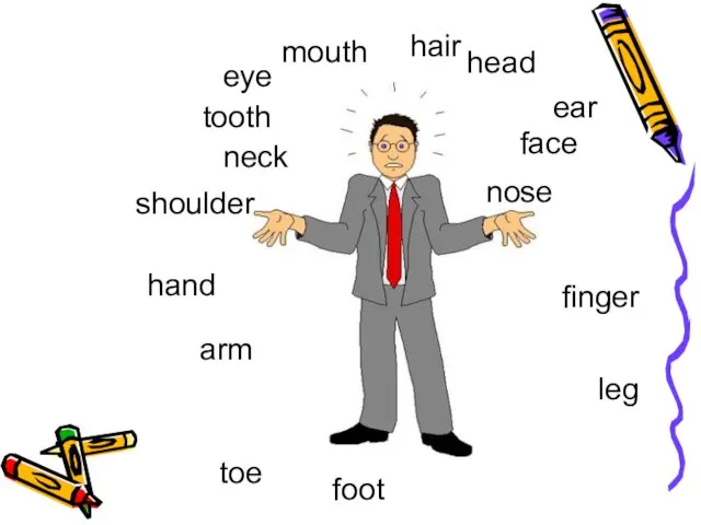 head finger arm foot leg tooth hair mouth toe nose face ear eye shoulder neck hand