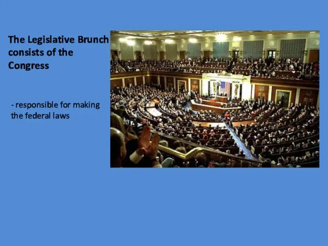 The Legislative Brunch consists of the Congress - responsible for making the federal laws