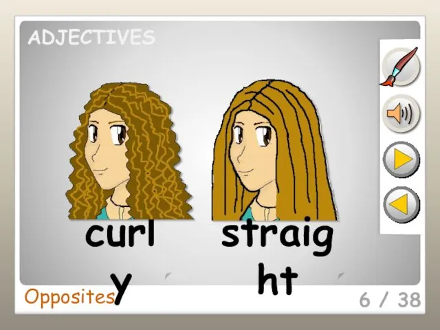 6 / 38 curly straight Opposites ADJECTIVES