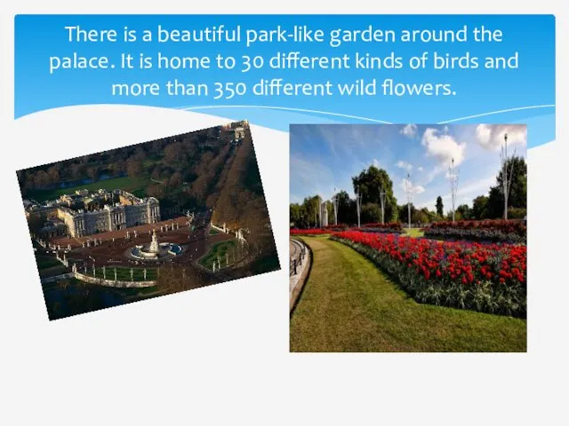 There is a beautiful park-like garden around the palace. It is home to