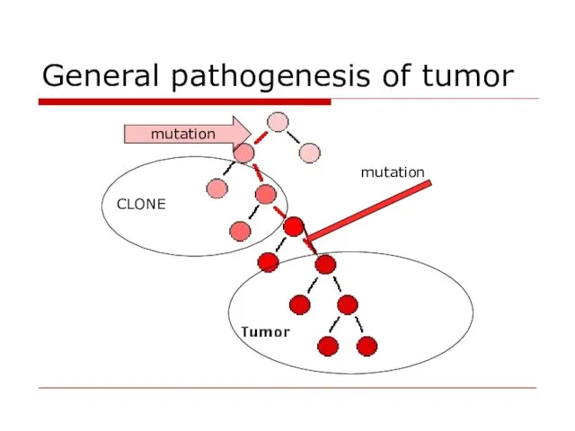 General pathogenesis of tumor mutation CLONE mutation