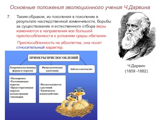 Основные положения эволюционного учения Ч.Дарвина Ч.Дарвин (1809 -1882) Таким образом,