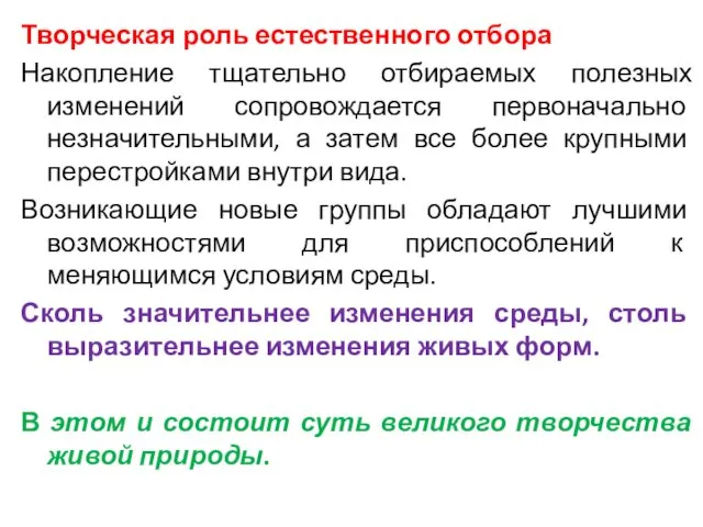 Творческая роль естественного отбора Накопление тщательно отбираемых полезных изменений сопровождается