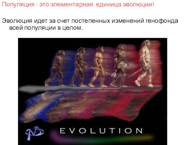 Популяция - это элементарная единица эволюции! Эволюция идет за счет