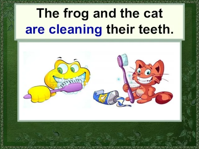 the frog and the cat The frog and the cat are cleaning their teeth.