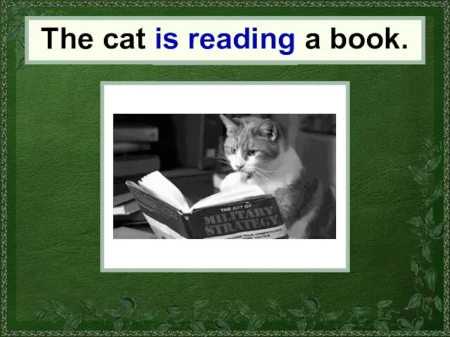 the cat The cat is reading a book.