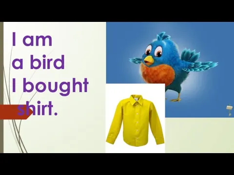 I am a bird I bought shirt.