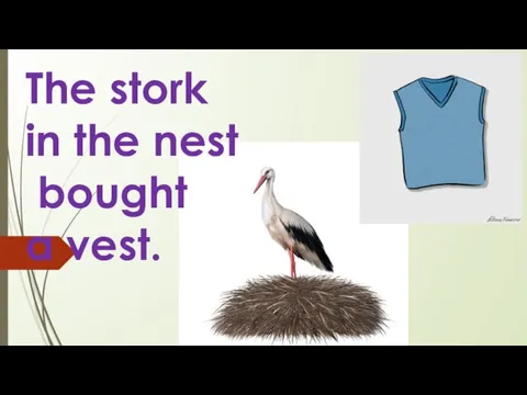 The stork in the nest bought a vest.