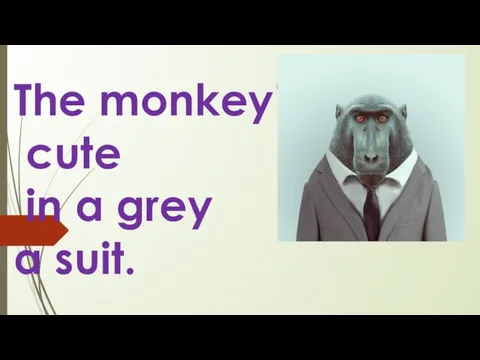 The monkey’s cute in a grey a suit.