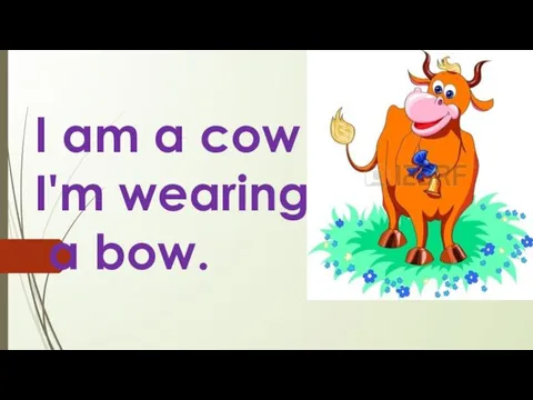 I am a cow . I'm wearing a bow.