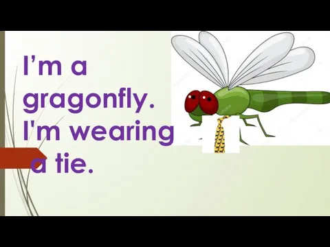 I’m a gragonfly. I'm wearing a tie.