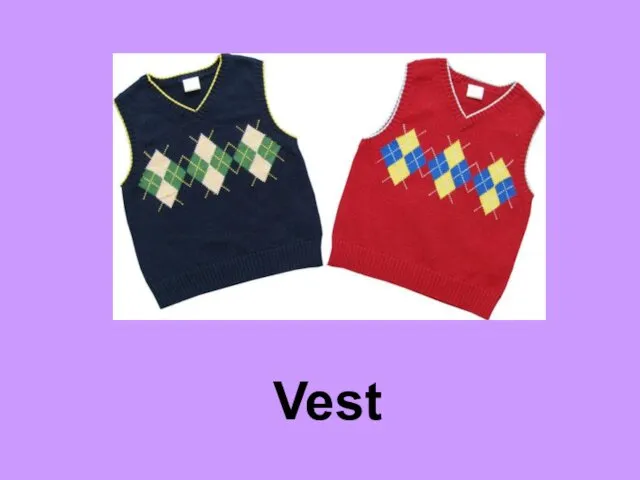 Vest