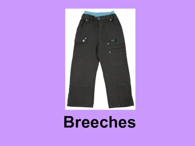 Breeches