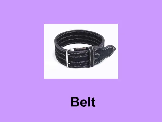 Belt