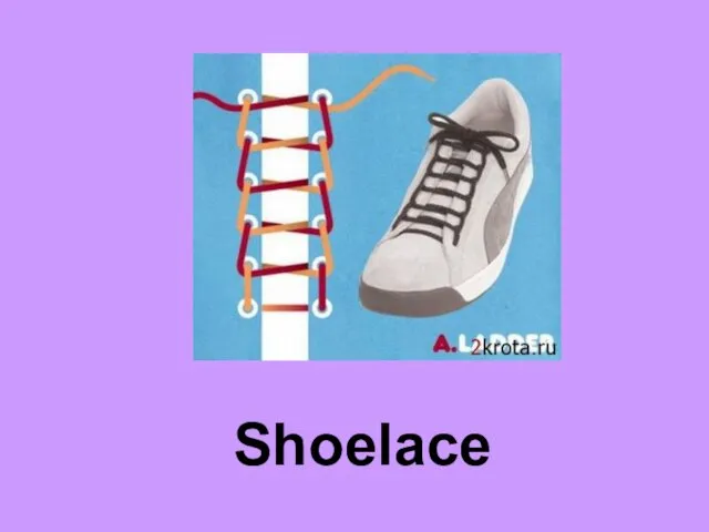 Shoelace