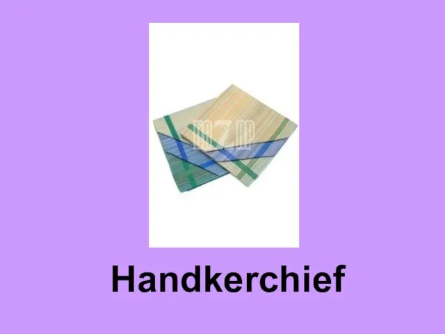 Handkerchief