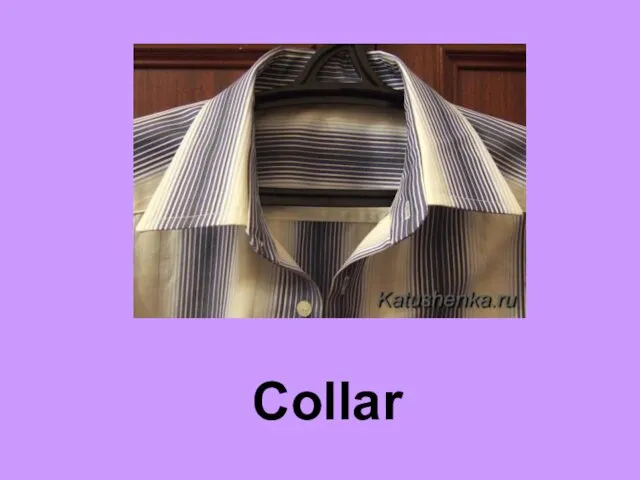 Collar