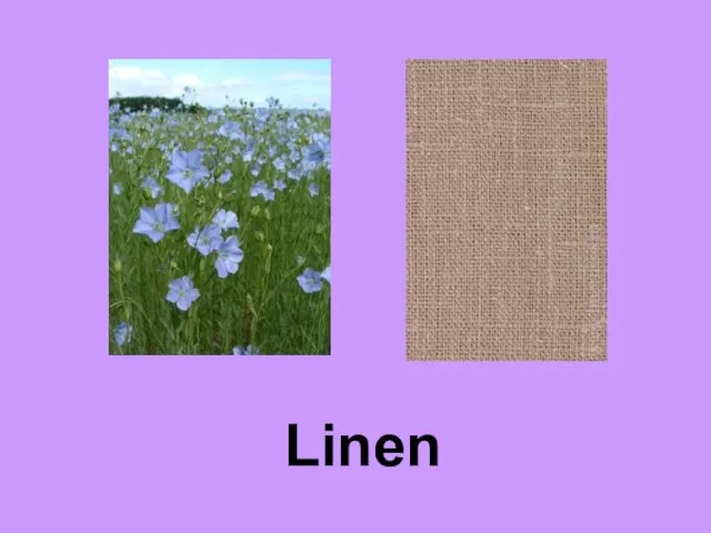 Linen