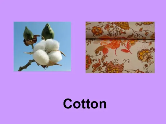 Cotton