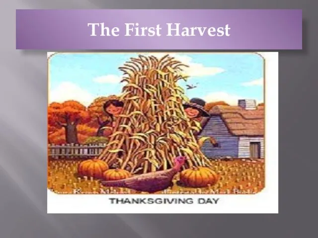 The First Harvest